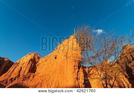Nézet belülről kis sivatagi Canyon