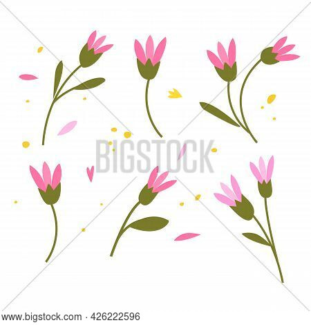 Collection Of Hand Drawn Plants. Botanical Set Of Sketch Flowers And Branches, Vector Illustrations