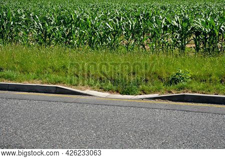Installation Of Concrete Curbs With Gaps That Let Water Into The Park Into The Ditch, Where It Seeps