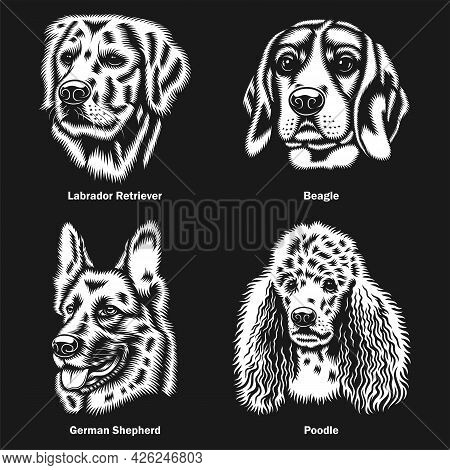 Dog Heads Of Different Breeds Vector Graphic On Black