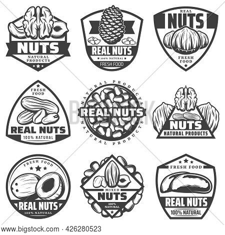Vintage Monochrome Natural Nuts Labels Set With Walnut Pecan Hazelnut Coconut Peanut Almond Cashew P