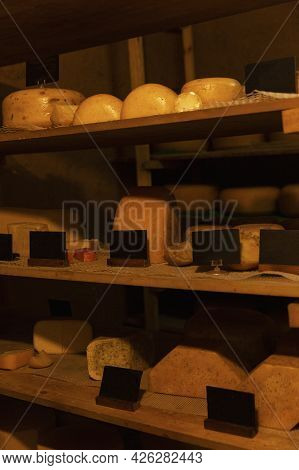 Heads Of Different Types Of Cheese On Wooden Shelves With Blank Signs Near Them. Space For Text. Ver