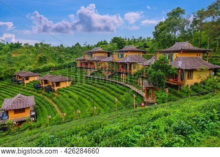 Old Chinese Style House In Tea Plantation At Ban Rak Thai The Village Is Surrounded By Mountain In M