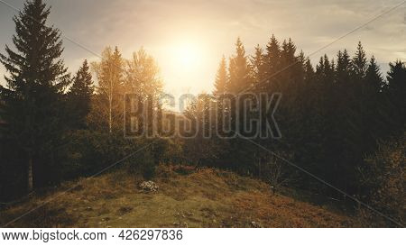 Sun over pine trees at mountain top. Aerial nobody nature landscape. Countryside village at green valley. Autumn greenery forest at grass hill. Carpathians mount ranges, Ukraine, Europe