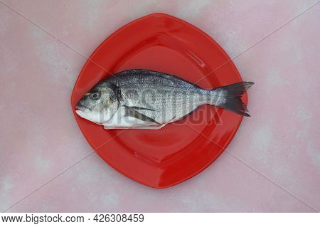 Fresh Fish On A Pink Wooden Board. Raw Uncooked Sea Bream On Red Plate.