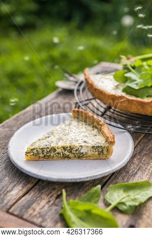 Quiche With Spinach - Traditional Dish Of French Cuisine. Spinach  Tart