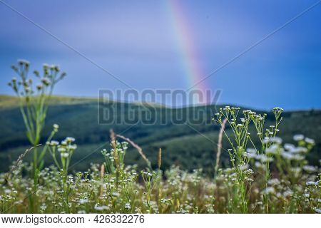 Highlands Landscape With Rainbow After Summer Thunderstorm