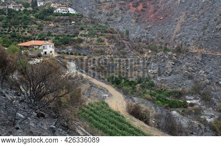 Mountain Fire With Burned Land And Disaster On Agriculture At The Village Of Odou Cyprus. Environmen