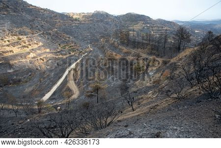 Mountain Fire With Burned Agriculture Land And Forest. Odou Village Cyprus. Disaster Of The Environm