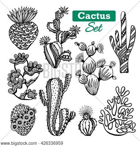 Decorative Different Types Of Cactus Icons Set With Thorns Black White Sketch Isolated Vector Illust
