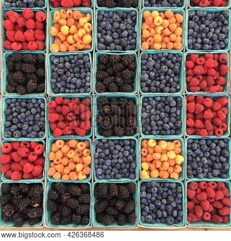 Dried Fruit Is Fruit From Which The Majority Of The Original Water Content Has Been Removed Either N