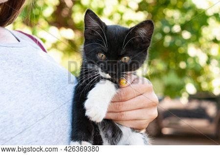 Cropped View Of Woman Holding Qute Black With White Cat In The Garden