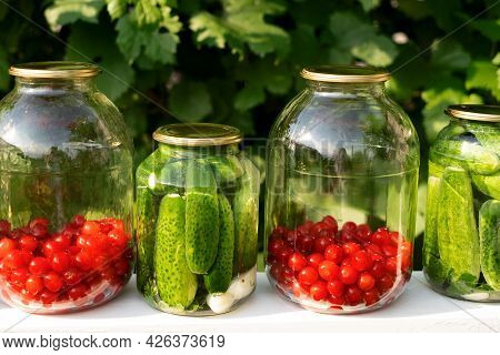 Pickled Canned Cucumbers And Compote Of Fresh Cherries In Jars Preserves Vitamins. Canned Food. Harv
