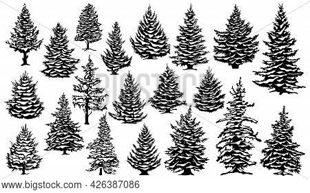 Christmas Snowy Pine Trees. Xmas Snow Covered Pine Trees Silhouettes, Evergreen Coniferous Woods Vec