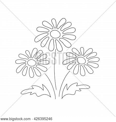 Spring Dandelions Bouquet Contour Vector Illustration. Botanical Decoration. Summer Garden Icon. Iso