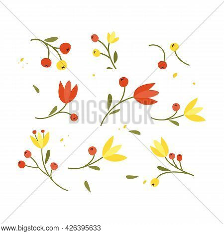 Collection Of Hand Drawn Plants. Botanical Set Of Sketch Flowers And Branches, Vector Illustrations