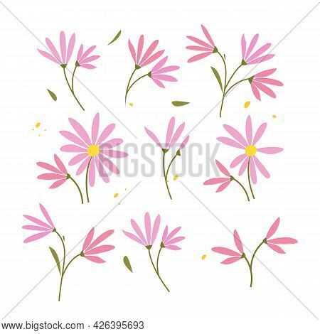 Collection Of Hand Drawn Plants. Botanical Set Of Sketch Flowers And Branches, Vector Illustrations