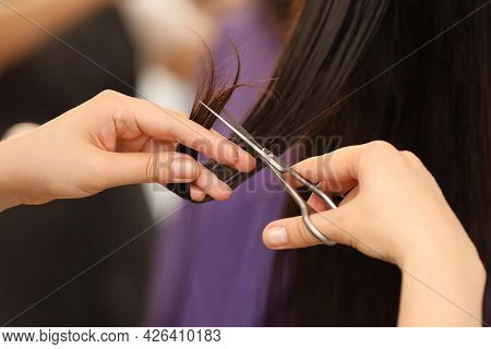 Professional Stylist Cutting Client's Hair On Blurred Background, Closeup