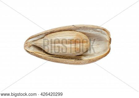 Closed Up Peeled Sunflower Seed Piece Isolated On White Background. For Natural Healthy Food Or Agri