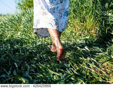 Close Up Of The Bare Feet Of A Girl Dressed In A Dress Who Is Walking On The Grass In The Evening