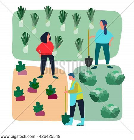People Doing Agricultural Works On Vegetable Patch. Vector Flat Illustration. Harvesting, Gardening,