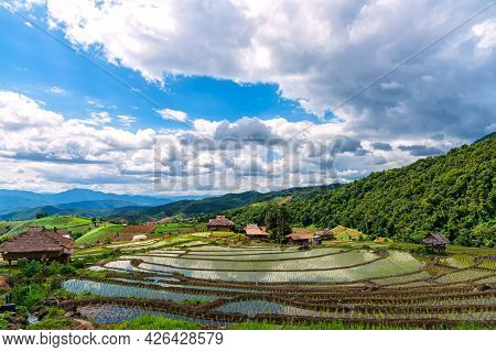 The Beautiful Scenery Of The Terraced Rice Fields At Ban Pa Pong Piang In Chiang Mai, Thailand.