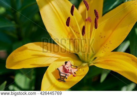 Miniature Woman In Red Dress Is Sitting On A Park Bench On A Yellow Lilly Blossom With A Cup Of Coff