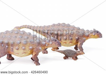 Ankylosaurus Is A Herbivore Genus Of Armored Dinosaur With Baby, The Dinosaur From The Very End Of T