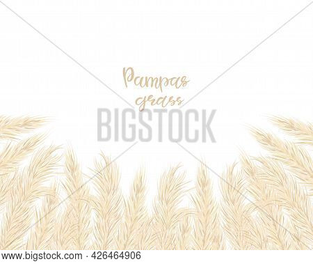 Background With Dry Pampas Grass. Floral Ornamental Elements In Boho Style. Flat Lay With Copy Space