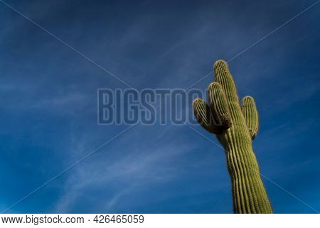 View of the mountains at Papago Park In Phoenix, Arizona