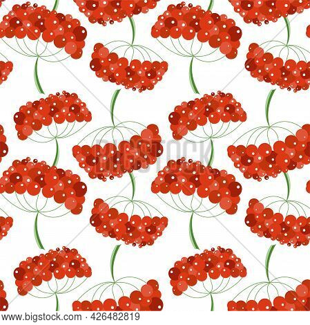 Viburnum Colorful Seamless Pattern Red Fruit On White Art Design Elements Stock Vector Illustration 