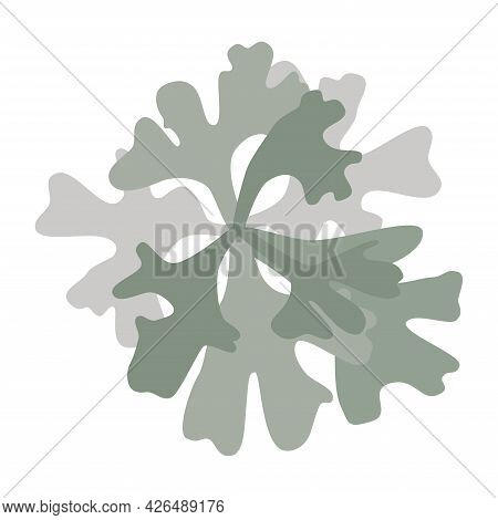 Hypogymnia Gray Lichen Bush Logo Icon On White Background