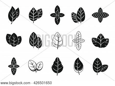 Basil Leaf Icons Set Simple Vector. Agriculture Healthcare. Aroma Basil Herb
