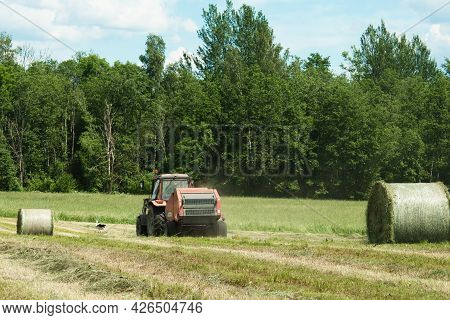 Agricultural Field During Hay Harvesting And Making Bales For Livestock