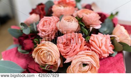 Powdery Pink Color. Flower Branch Rose, Buds, Close-up.