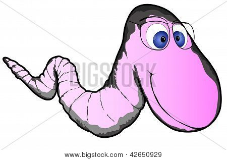 Studioso Worm