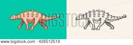 Dinosaur Ankylosaurus, Talarurus, Euoplocephalus, Saltasaurus, Jurassic. Engraved Vintage Hand Drawn