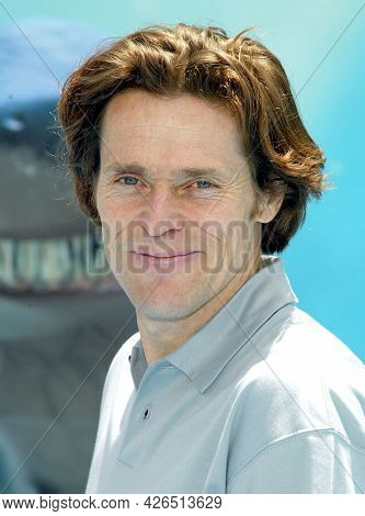 LOS ANGELES - MAY 18: Willem Dafoe arrives to  the Ã¢â¬ËFinding NemoÃ¢â¬â¢ Hollywood Premiere on May 18, 2003 in Hollywood, CA