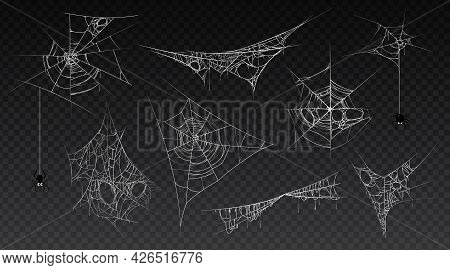 Spiderweb With Hanging Spider Insect, Isolated Set Of Cobwebs, Old And Scary, Dark And Vintage. Hall