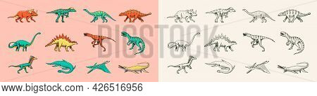 Dinosaurs Set, Tyrannosaurus Rex, Triceratops, Barosaurus, Diplodocus, Velociraptor Triceratops Steg