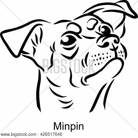 Minpin Portrait Dog In Line Style - Pet Portrait In Light Style Head Isolated On White