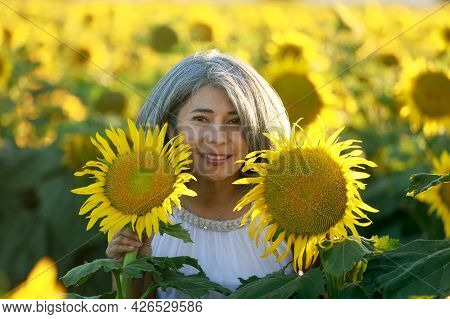 Woman In White Dress Standing In A Field Of Sunflowers In Summer Bloom. Dixon, Solano County, Califo