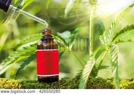 Hemp Oil Dropper In Bottle With Cannabis Tree Background. Empty Label - Copy Space.