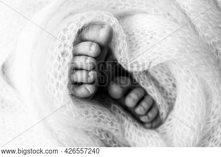 Feet Of A Newborn Close-up In A Woolen Blanket. Pregnancy, Motherhood, Preparation And Expectation O