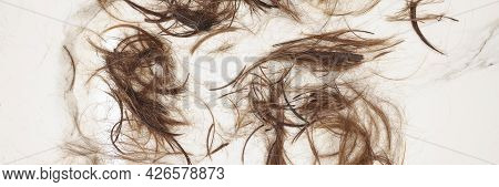 Cut Off Split Ends Of Hair Lie On Floor
