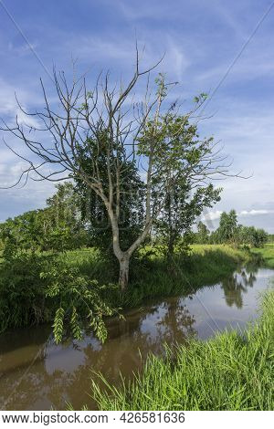Waterways Man-made To Suply Rice Fields With Water For Crop Production Making Small Nature Reserves