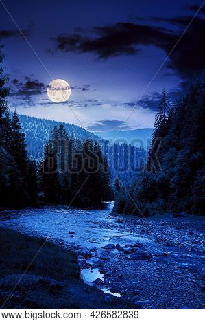 Mountain River Runs Through Forested Valley. Countryside Scenery On A Summer Night. Trees And Stones
