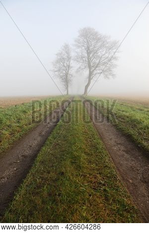 Misty Landscape And Atmosphere In Odder, Denmark