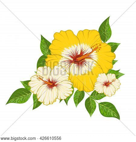 Сomposition Of Hibiscus Flowers And Leaves Vector Illustration