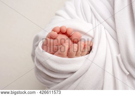 Feet Of A Newborn Close-up In A Woolen Blanket. Pregnancy, Motherhood, Preparation And Expectation O